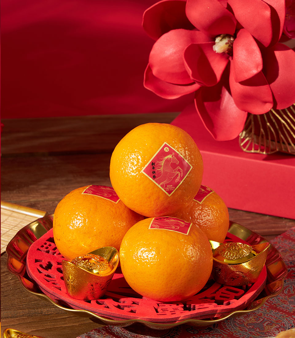 Mandarin oranges with lucky gold ingots and red decorations on festive gold tray for Chinese New Year