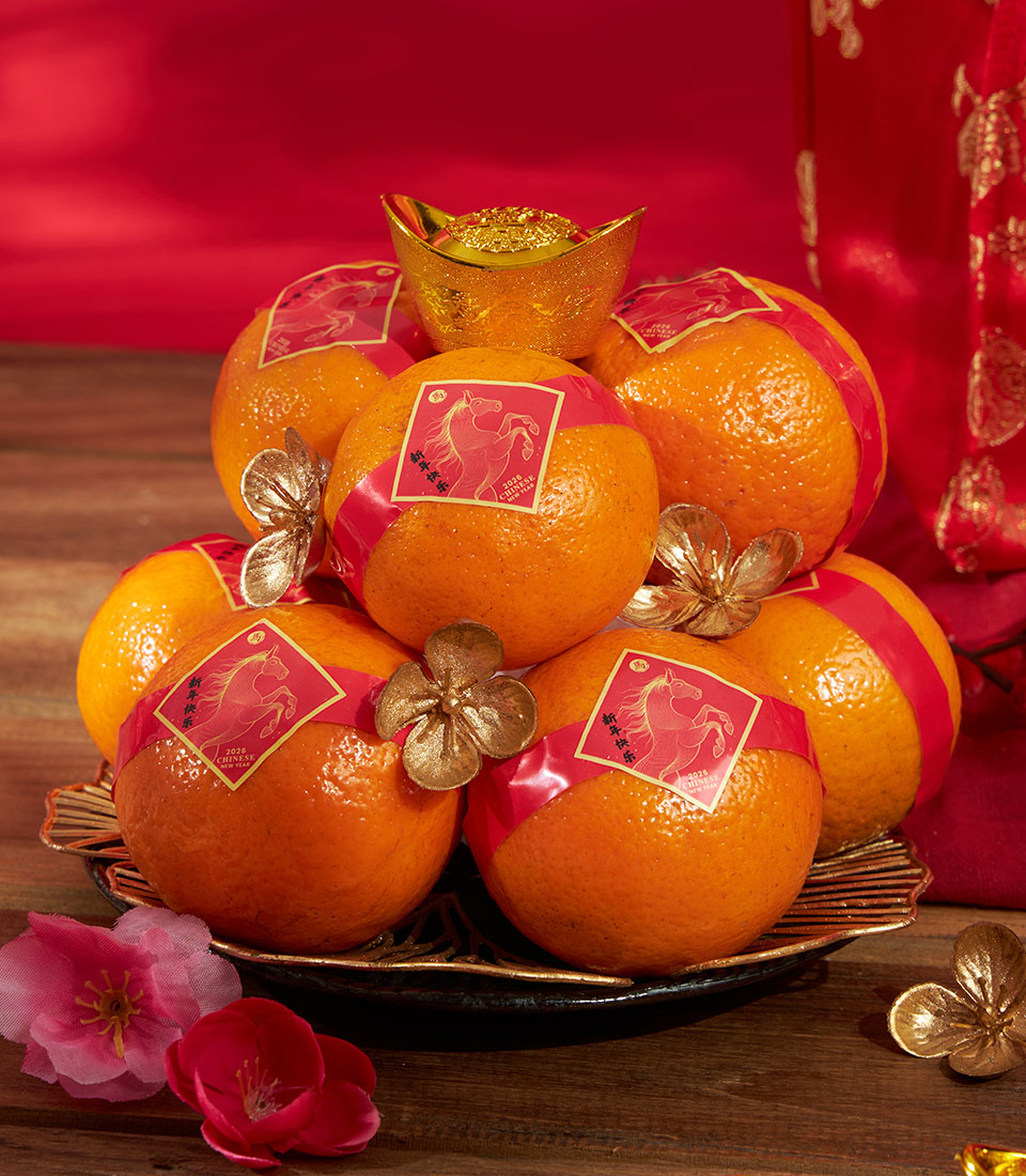 Mandarin oranges with red ribbons and golden horse tags for Chinese New Year, arranged on decorative plate with wealth ingot