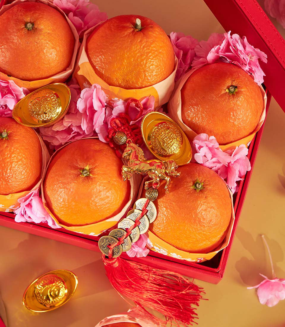 Premium red gift box with six wrapped mandarin oranges, golden ingots, and festive red tassel for Chinese New Year