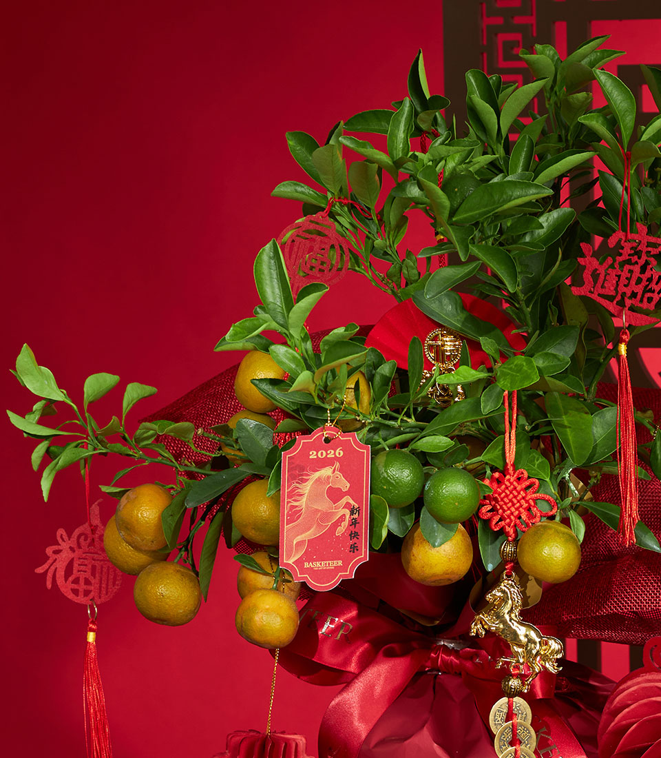 Lucky kumquat tree with red and gold ornaments for Chinese New Year gifting