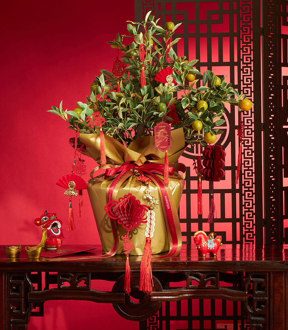 Variegated kumquat tree with red and gold tassels, gold-wrapped pot, and Chinese New Year prosperity symbols