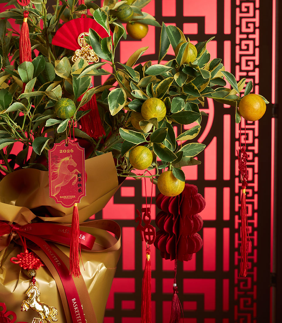 Variegated kumquat tree with red ribbon, gold accents, and traditional Chinese New Year decorations for festive gifting
