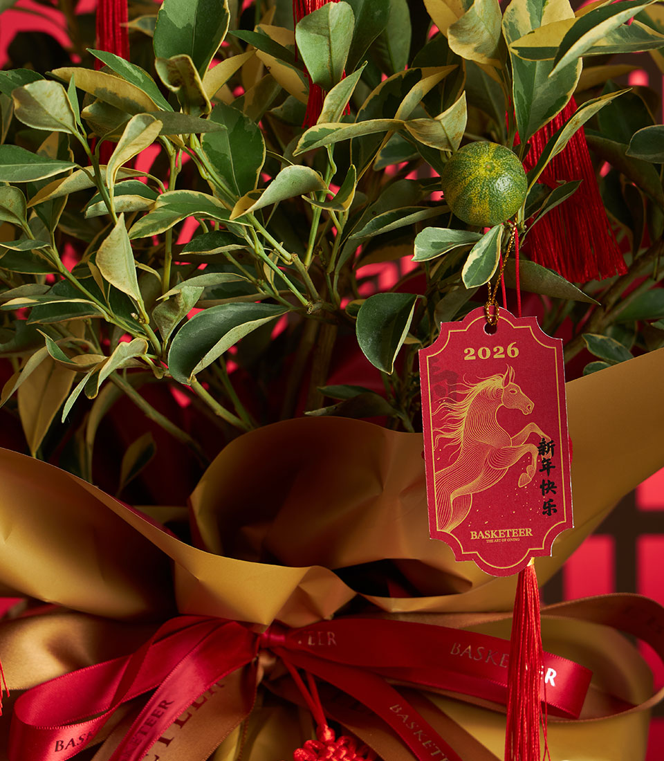 Variegated kumquat tree with red tassels and Chinese New Year gift tag, wrapped in gold paper with red ribbon
