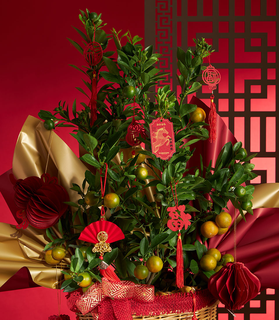 Kumquat citrus tree in woven basket with red silk draping, gold ornaments, and Chinese New Year decorations for prosperity