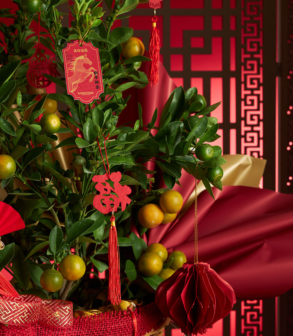 Kumquat tree in red woven basket with Chinese New Year decorations, gold ribbon, and fortune character ornament