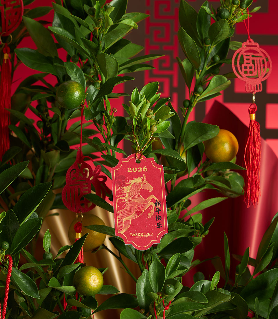 Lush kumquat tree with festive red lantern ornaments and golden horse plaque for Chinese New Year gifting