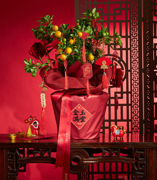 Potted kumquat tree with ripe fruit, red fabric wrapping, gold tassels, and traditional Chinese New Year decorations for 2026
