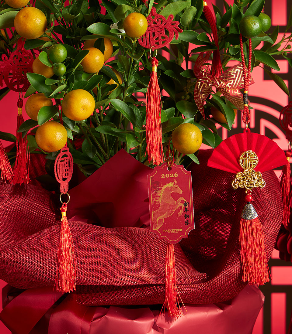 Festive kumquat tree with ripe fruit in red fabric wrapping, adorned with gold tassel ornaments and Year of the Dragon charm