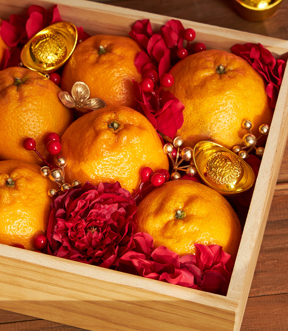 Dekopon orange tangerines with gold ingots and red berries in wooden prosperity box for Chinese New Year
