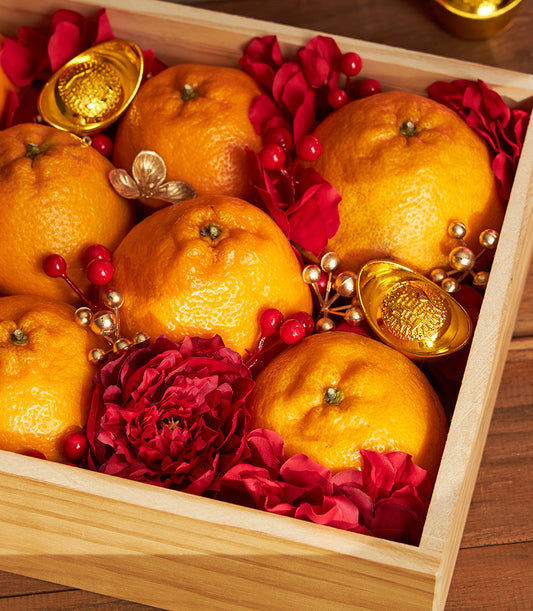 Dekopon orange tangerines with gold ingots and red berries in wooden prosperity box for Chinese New Year