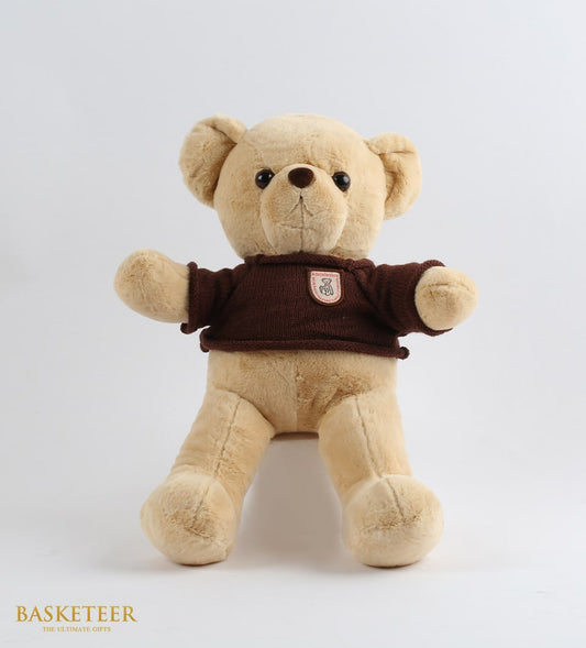 Light brown teddy bear in dark knitted sweater with chest patch, sitting against white background