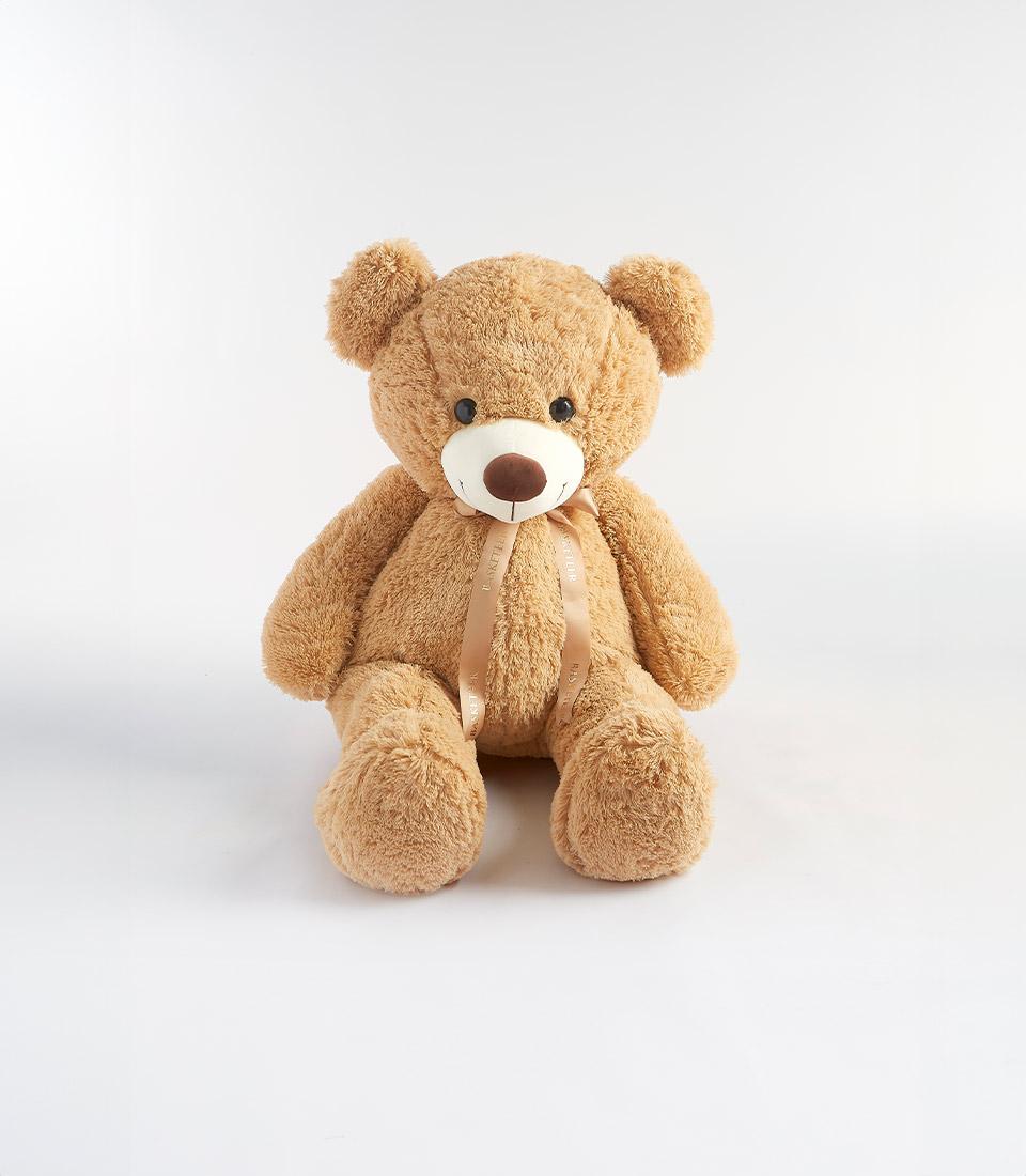 Cuddly light brown twin teddy bears with satin ribbon, perfect Valentine's gift for kids
