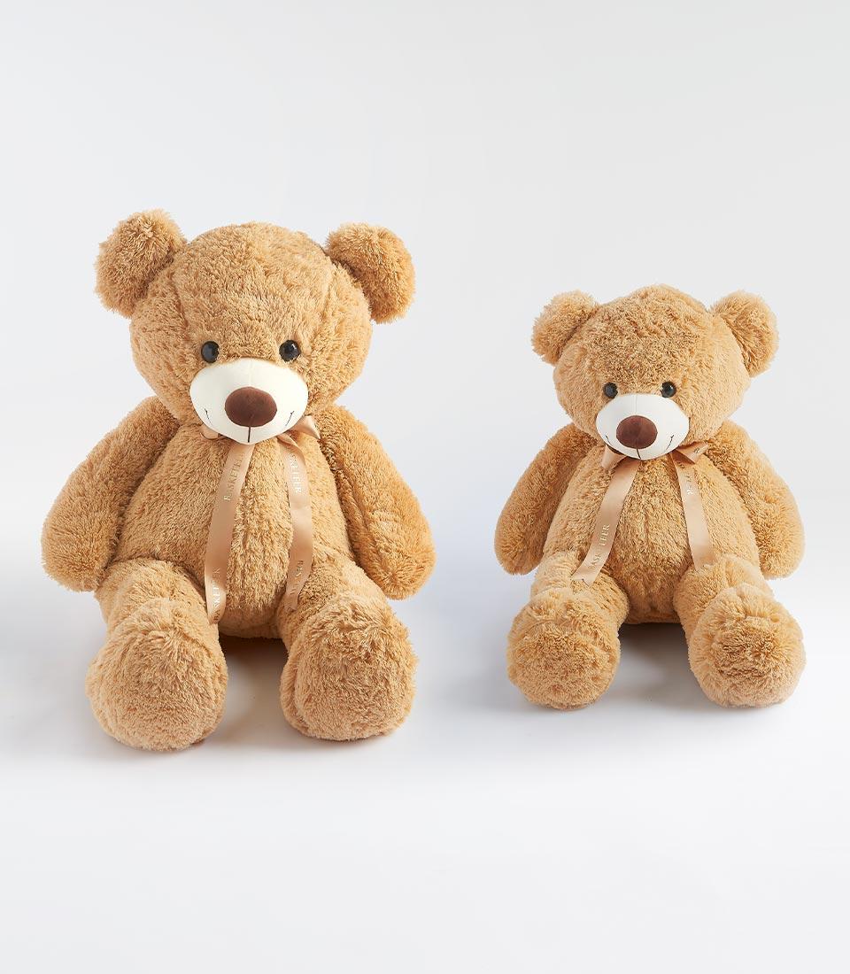 Cuddly twin brown teddy bears with satin ribbon bows, perfect Valentine's Day gift for kids