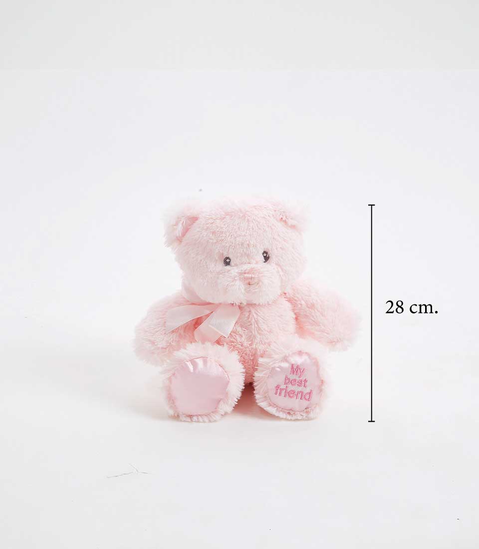 Soft light pink plush teddy bear with satin ribbon bow, new baby girl gift hamper
