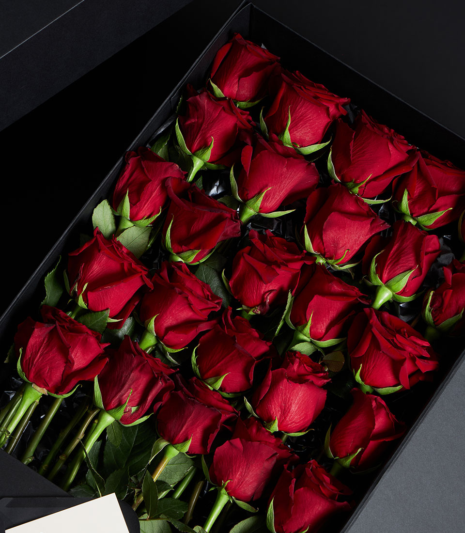 Luxury red roses in sleek black VIP gift box, fresh Ecuador-sourced blooms for Valentine's Day