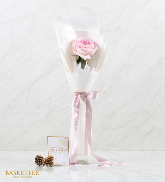 Single pink O'Hara rose with white wrapping, satin ribbon, and For You card