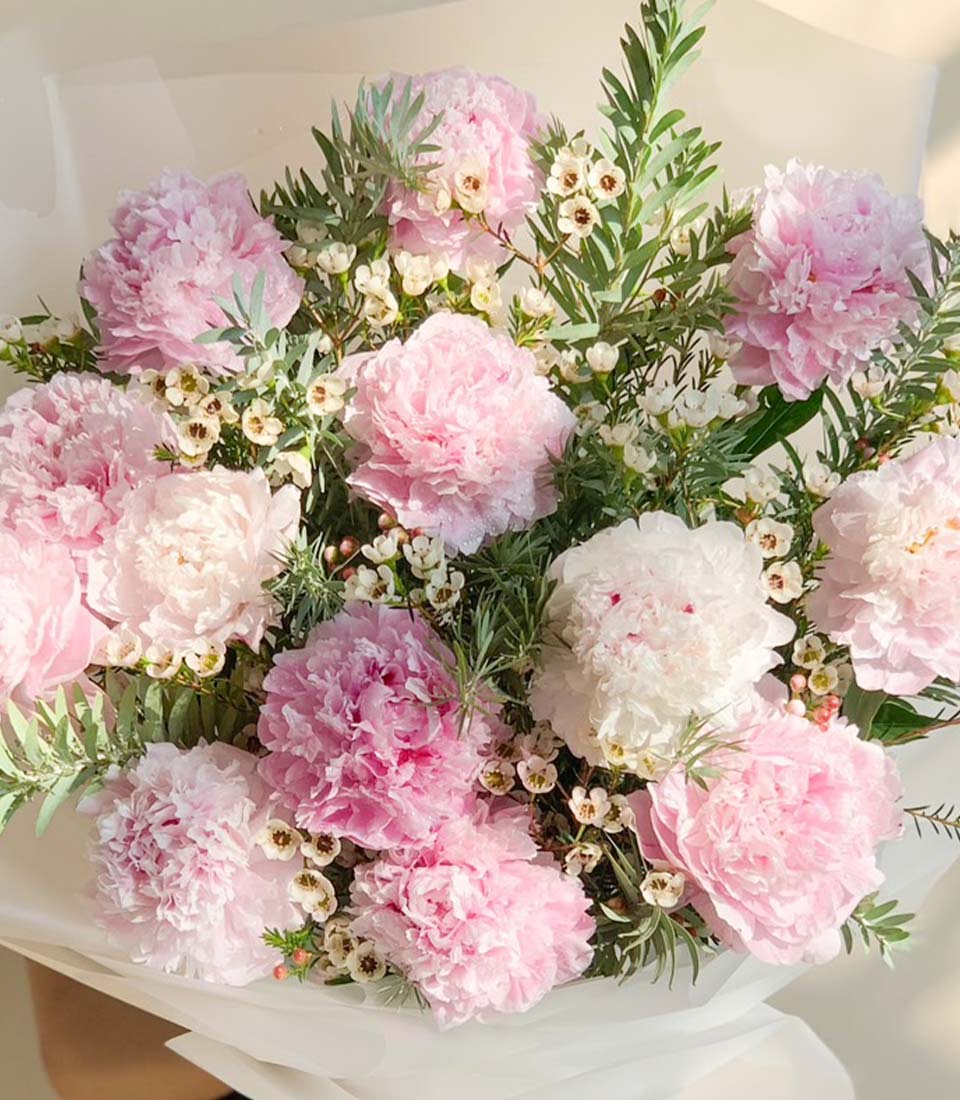 Blush peony bouquet with white filler flowers and green foliage, wrapped in tissue for graduation or celebrations