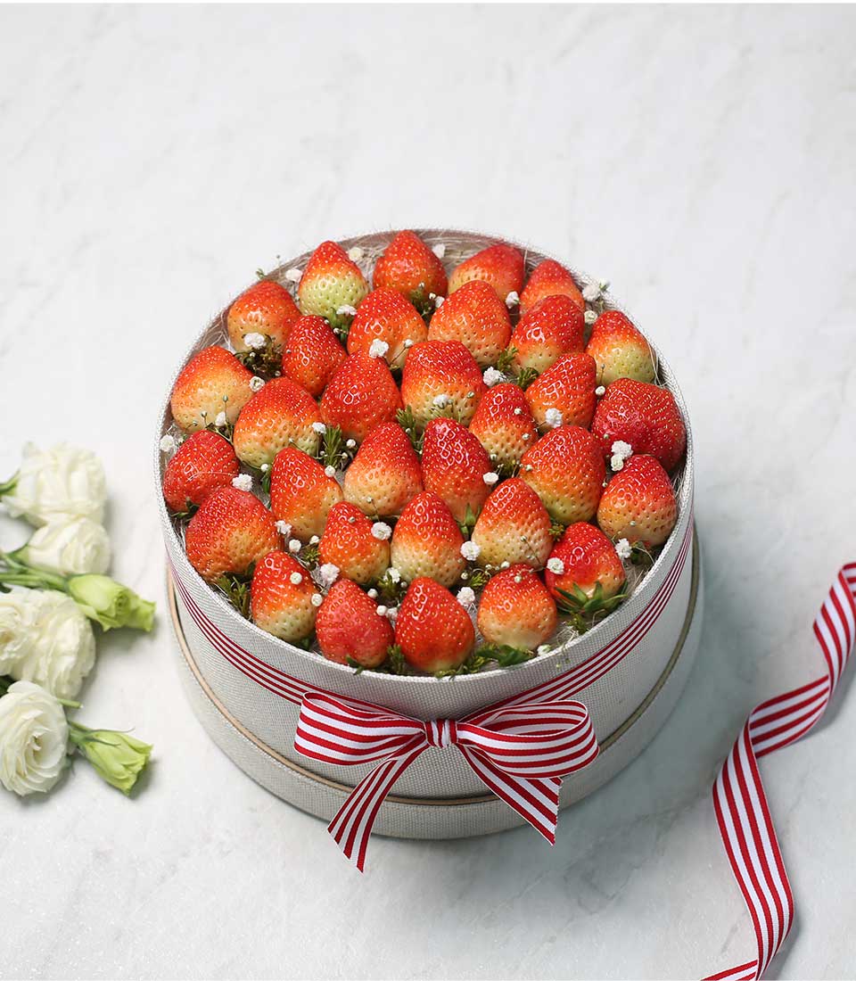Luxury fresh strawberry gift box with red ribbon bow, baby's breath, and white roses on marble