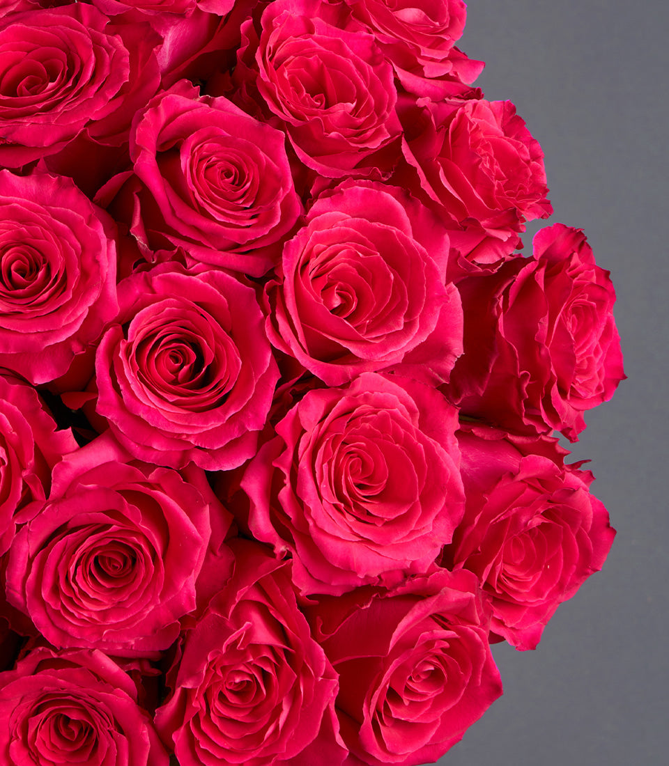 Dense arrangement of fuchsia pink roses in full bloom, premium fresh flowers for gifting
