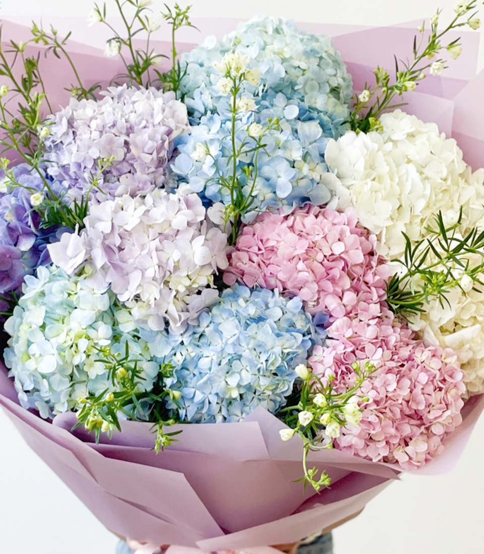 Vibrant pastel hydrangea bouquet with blue, purple, pink and white blooms in light purple wrapping