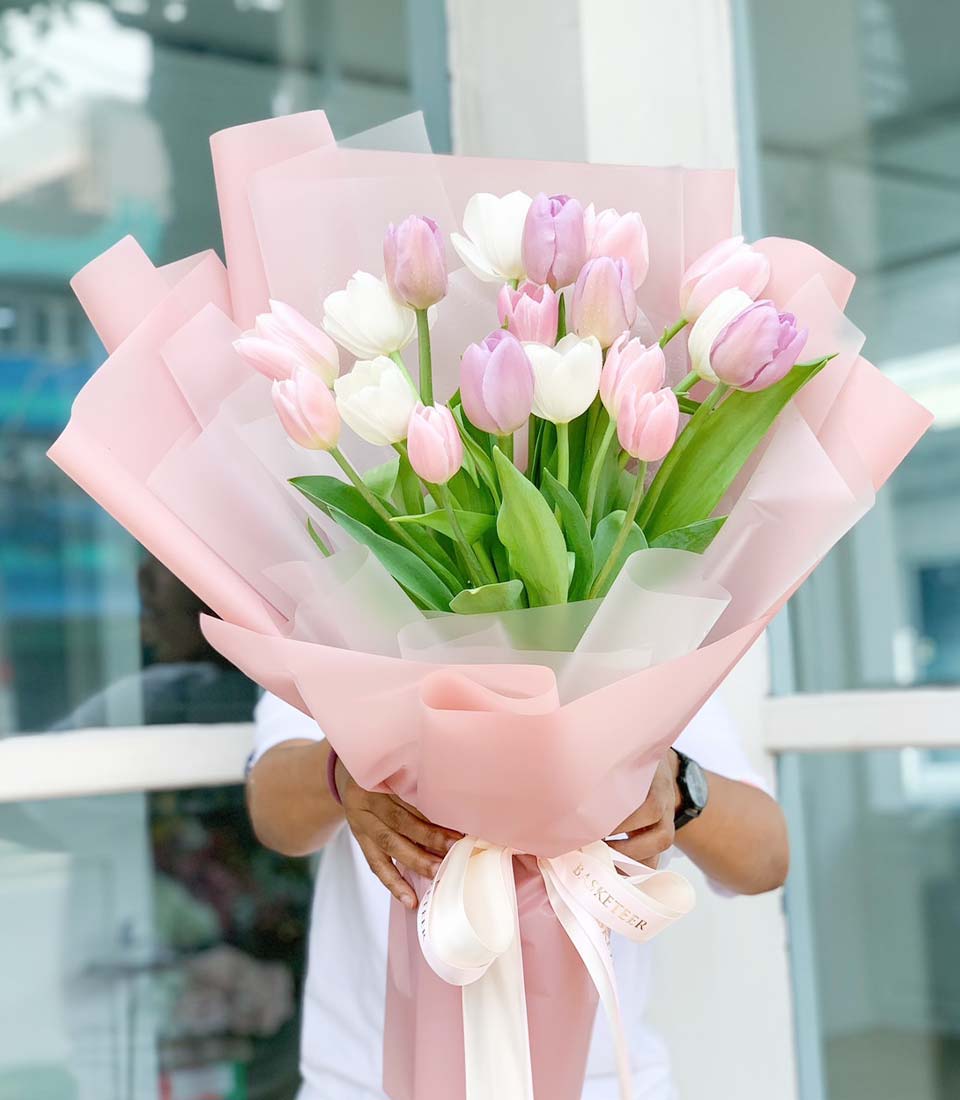 Blushing pink and white tulip bouquet with soft wrap and ribbon, fresh flowers for birthday celebrations