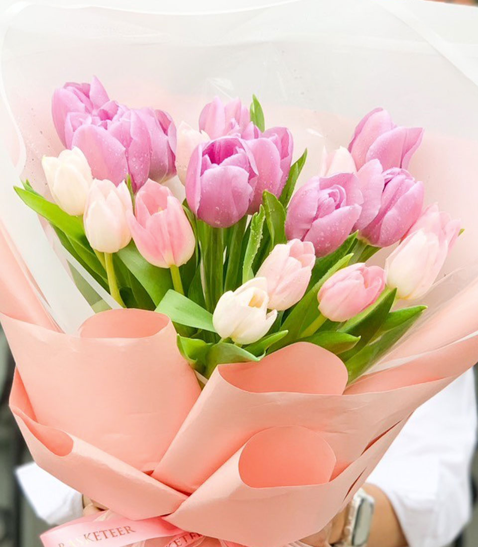 Fresh pink and white tulip bouquet with water droplets, tied with pink ribbon for graduation