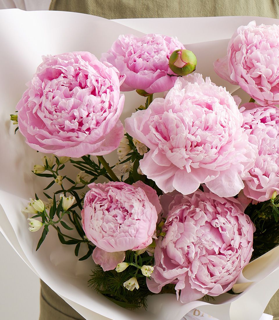 Blush pink peony bouquet with ruffled petals and white filler flowers in elegant white paper wrapping