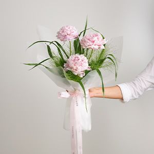 Light pink peony bouquet with three stems, delicate layered petals and green foliage wrapped in white paper with pink satin