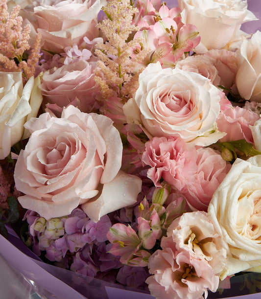 Fresh pink and white Ecuadorian roses with hydrangea, astilbe, and carnations in purple wrapping
