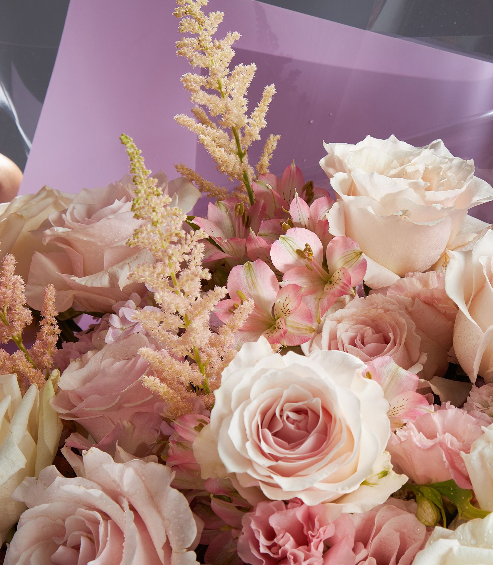 Premium pink and white Ecuadorian roses with alstroemeria and astilbe, wrapped in lavender tissue