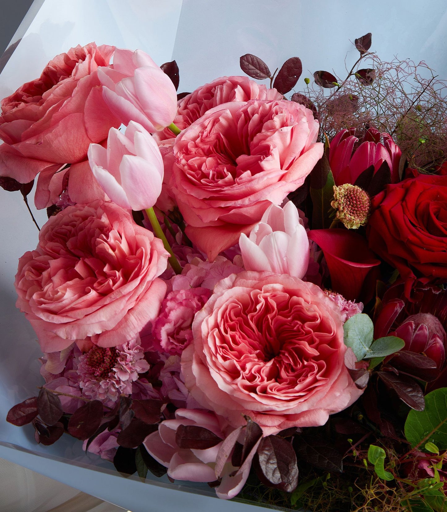 Luxury red and pink rose bouquet with tulips and protea, wrapped in pale grey paper