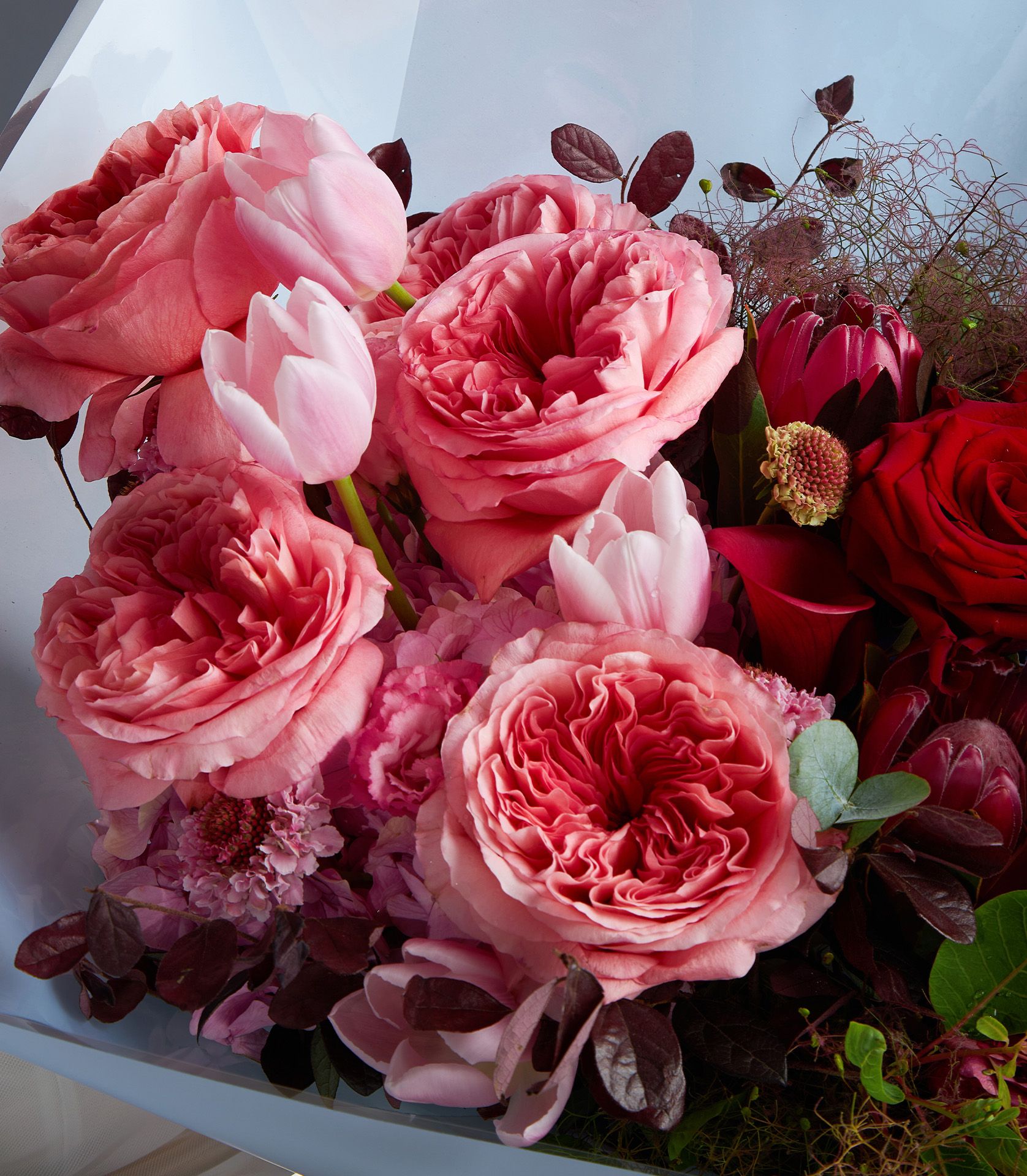 Luxury red and pink rose bouquet with tulips and protea, wrapped in pale grey paper