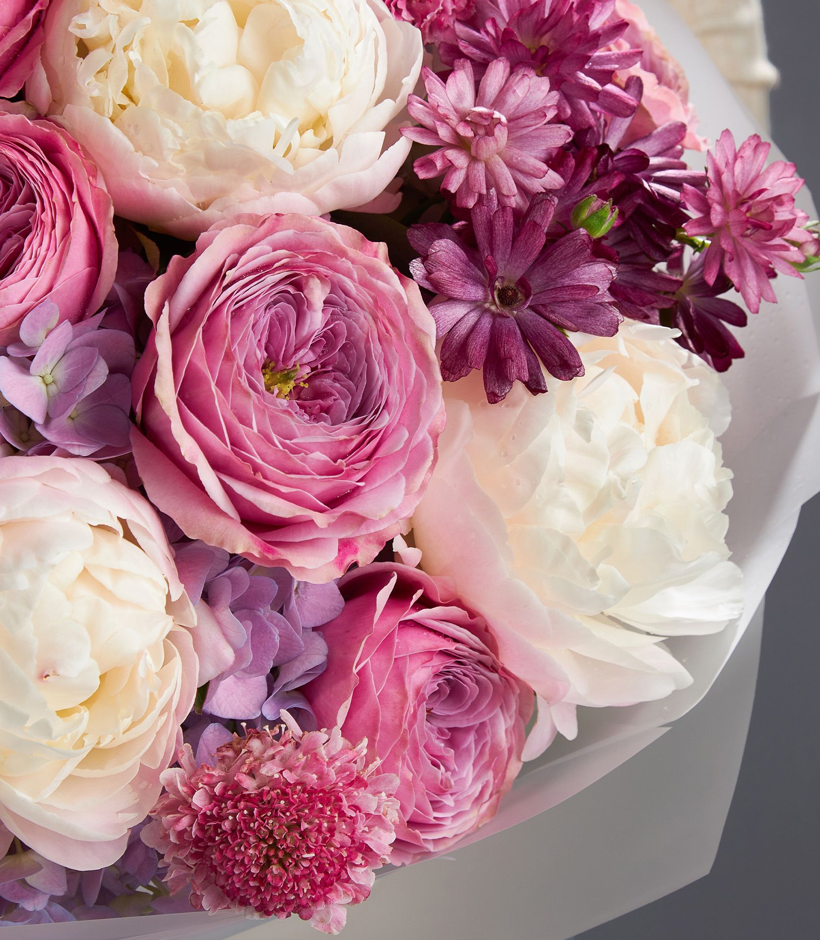 Luxury romantic rose bouquet with creamy peonies, pink garden roses, purple hydrangea, and asters in white floral wrap