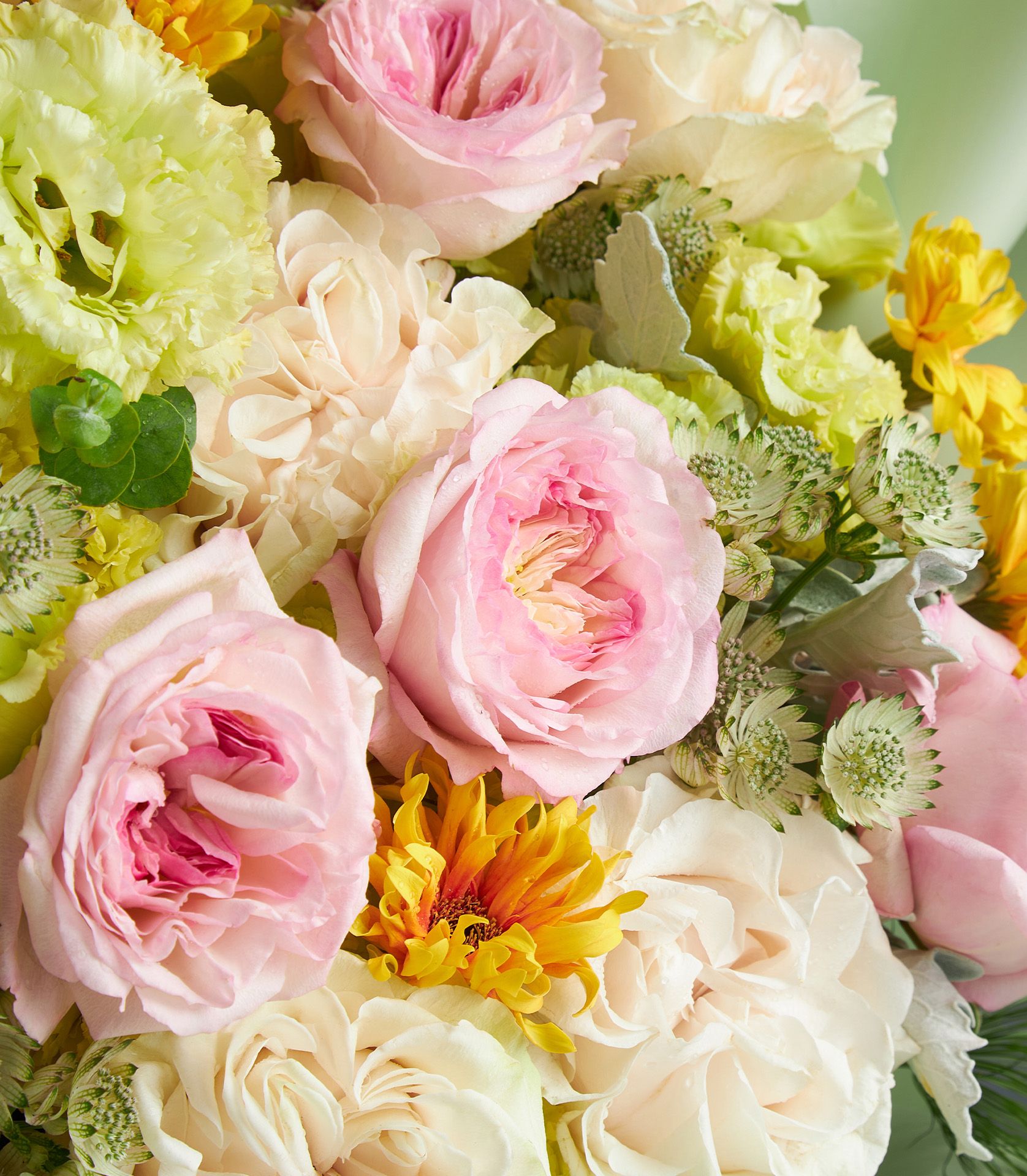 Pastel pink roses with cream, chartreuse, and yellow blooms in fresh luxury flower bouquet