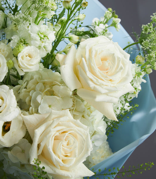 Fresh white rose and hydrangea winter bouquet with light blue wrapping
