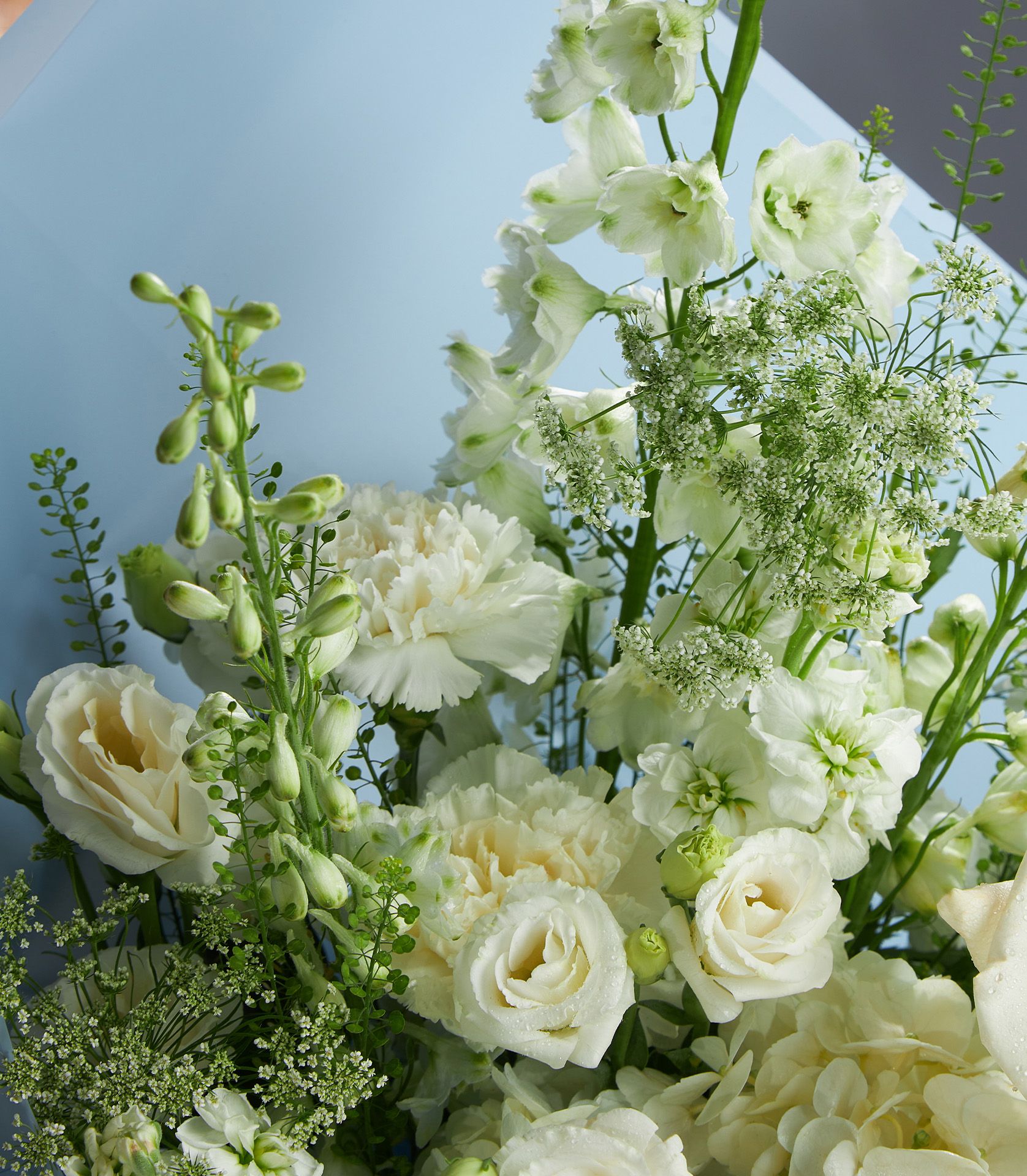 White roses, carnations, and delphinium winter bloom bouquet with Queen Anne's Lace accents