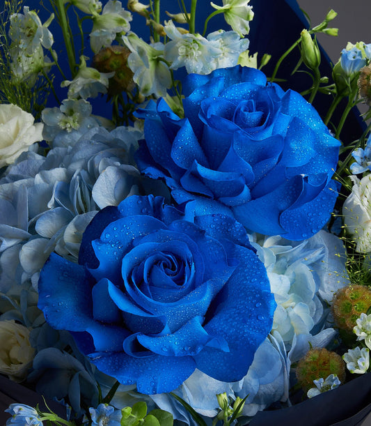 Deep blue roses and light blue hydrangea bouquet with white delphinium and green foliage, wrapped in dark blue paper