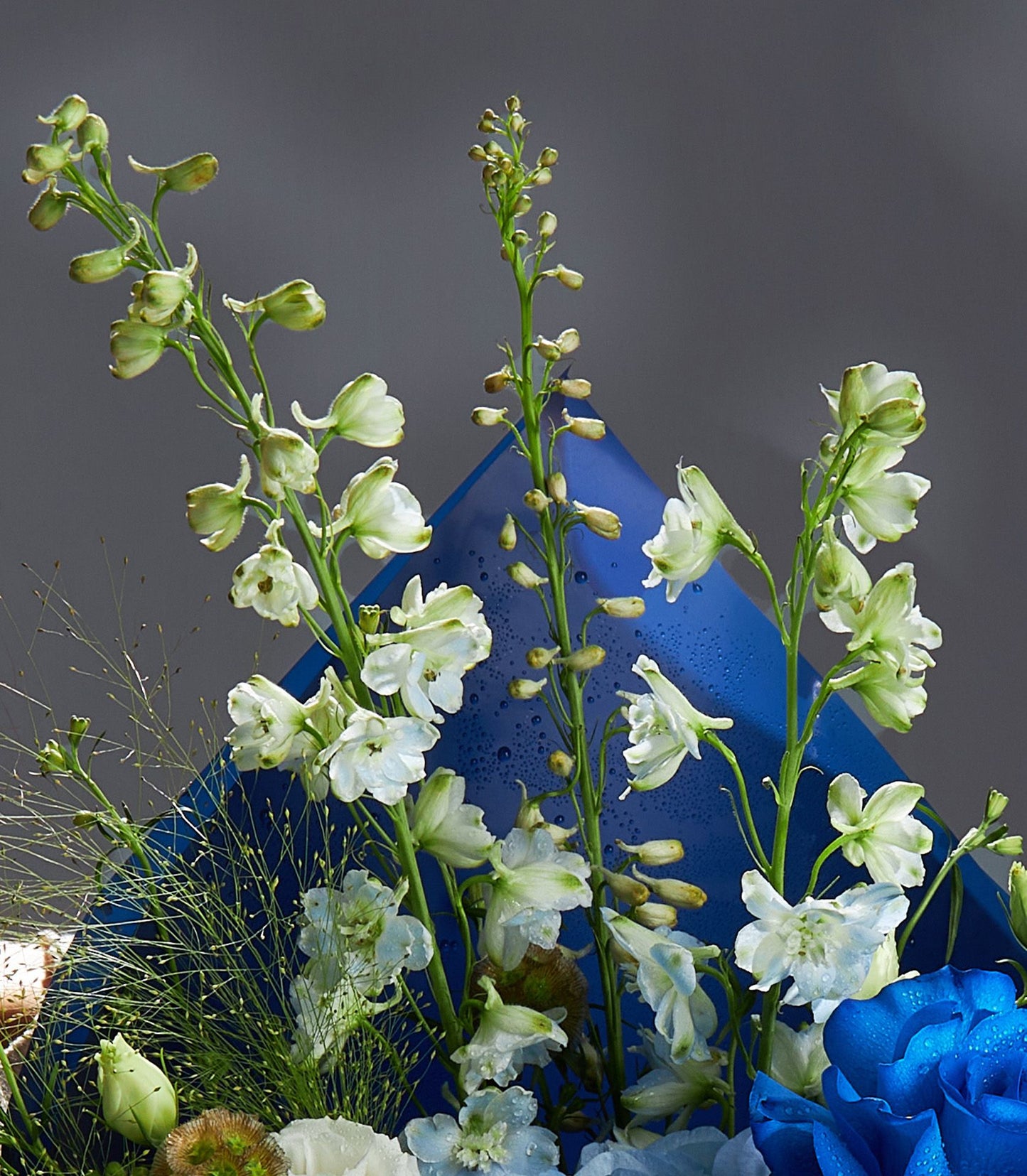 Fresh blue rose and white delphinium bouquet with eucalyptus, dewy petals and modern styling