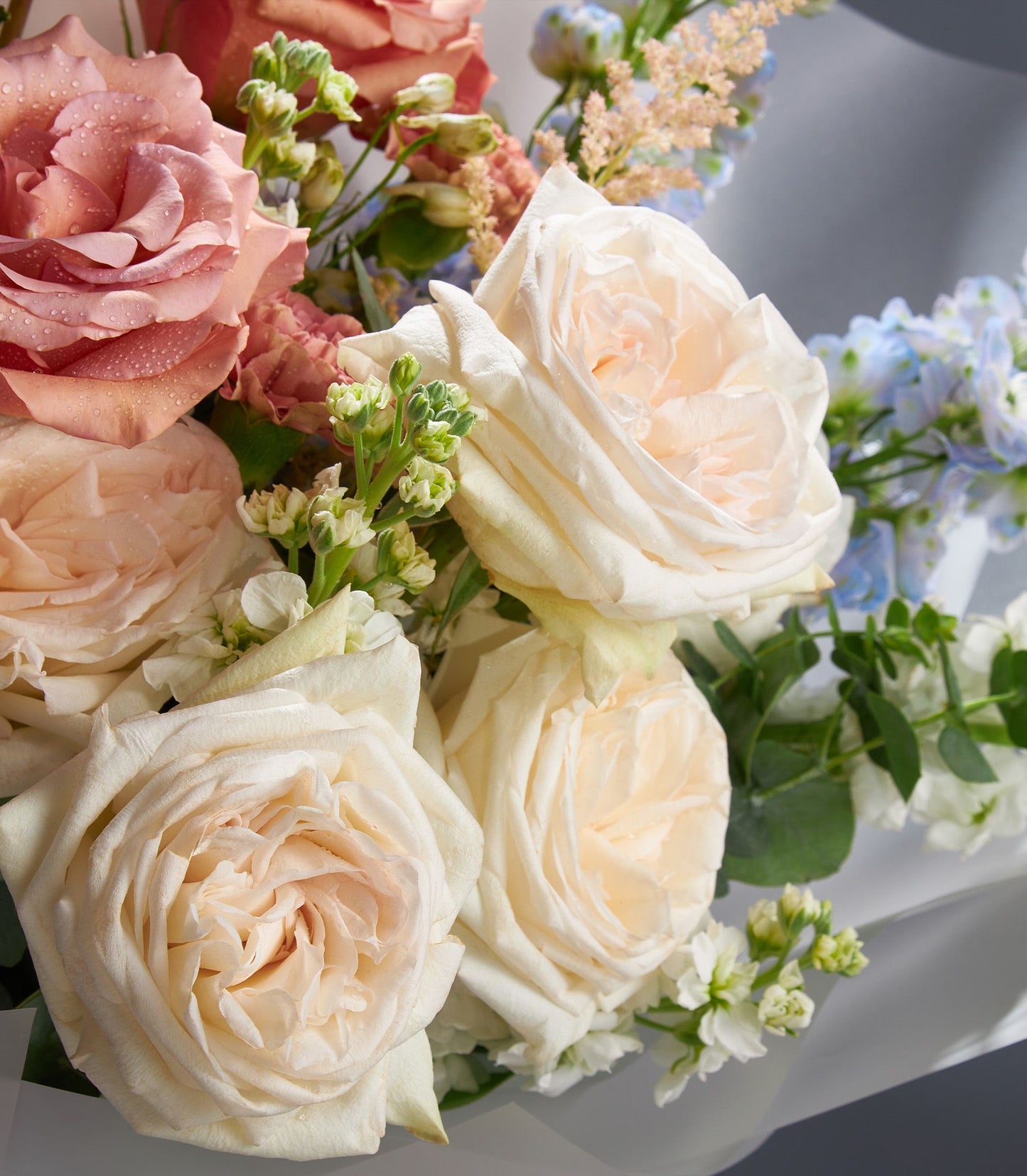 Pink and cream roses with white blossoms in elegant white paper wrapping, fresh cut flowers for gifting