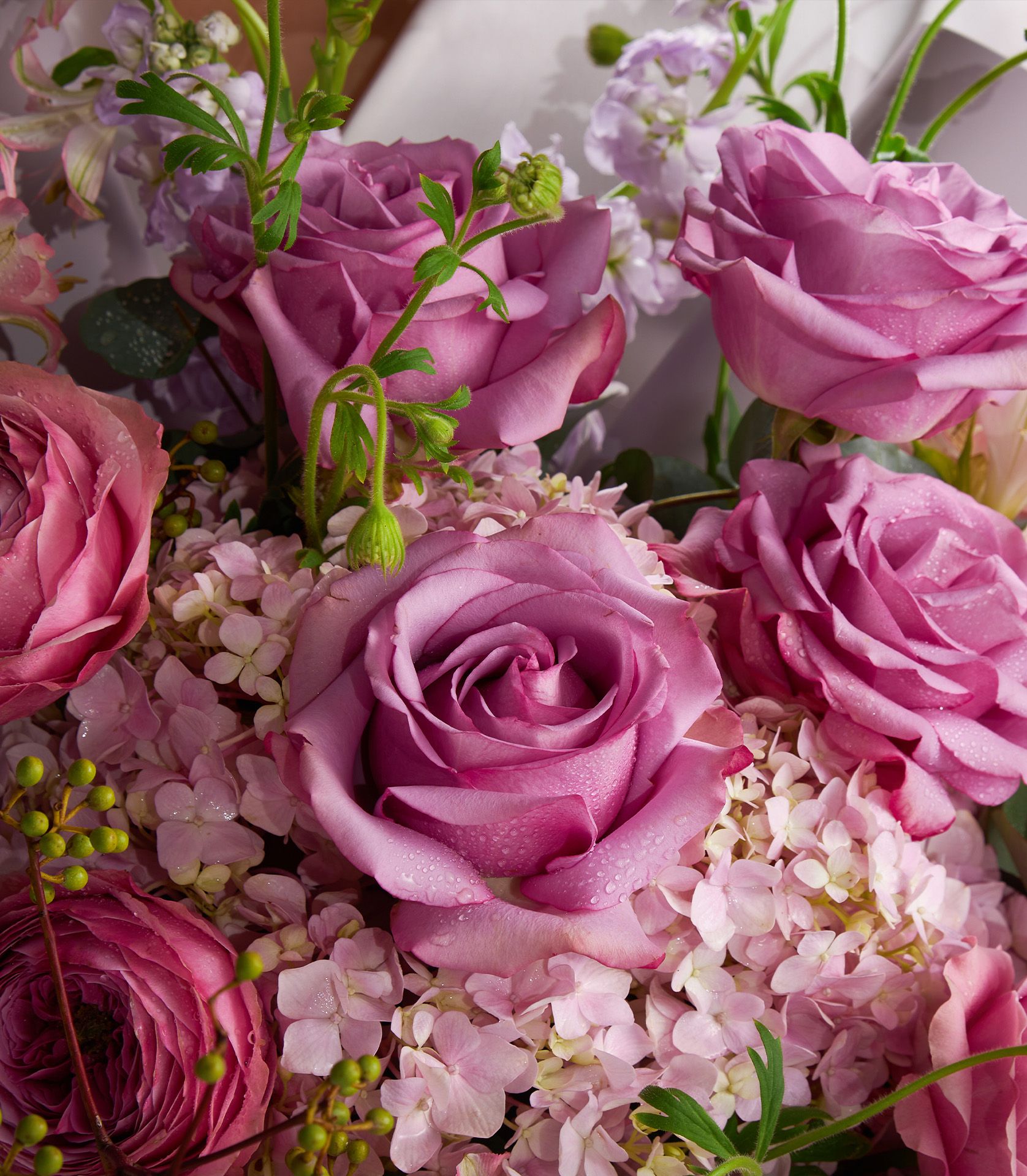 Mauve and blush rose bouquet with hydrangea and alstroemeria, fresh Ecuador roses with morning dew