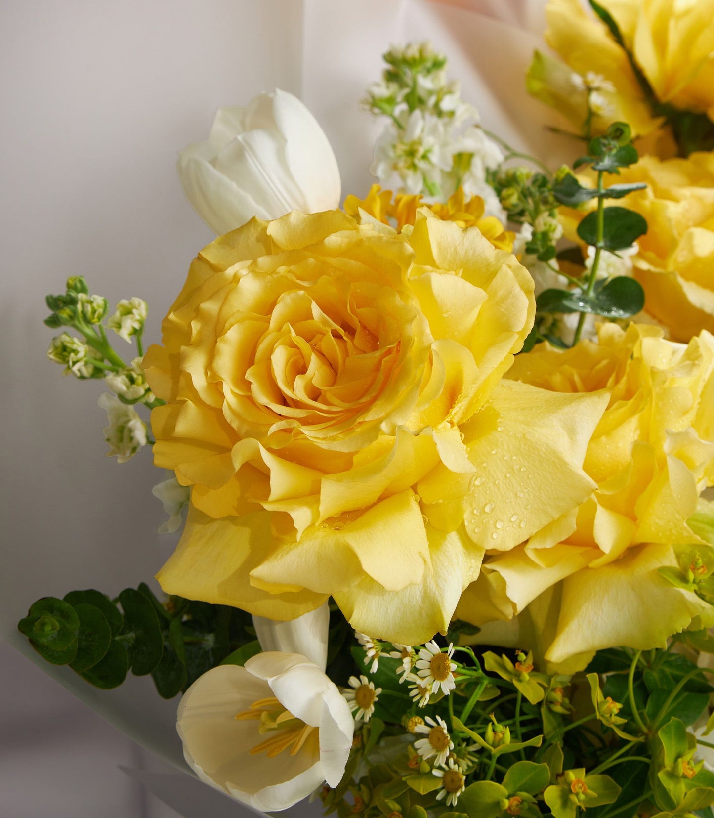 Vibrant yellow roses with white tulips fresh flower bouquet wrapped in white paper