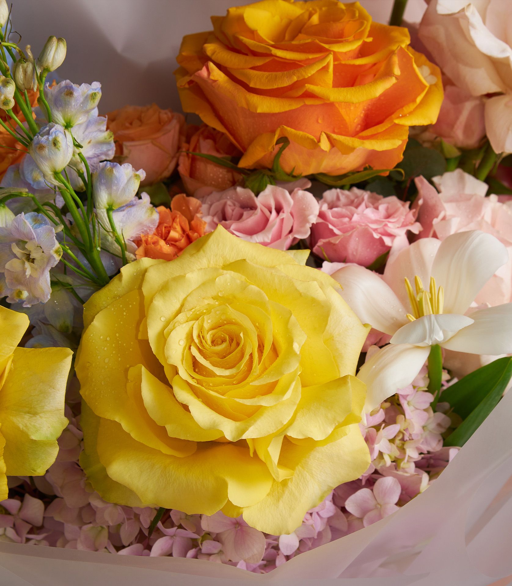 Vibrant fresh rose bouquet with yellow, orange, and pink roses, blue delphiniums, and white tulips in elegant wrapping