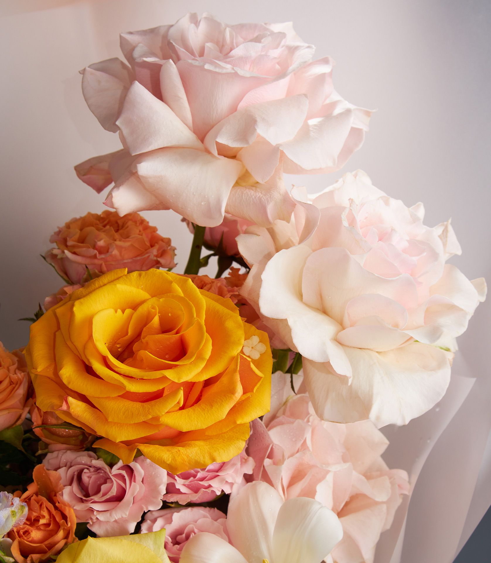 Radiant yellow and pink roses with water droplets in light paper wrapping by Flowers by Basketeer