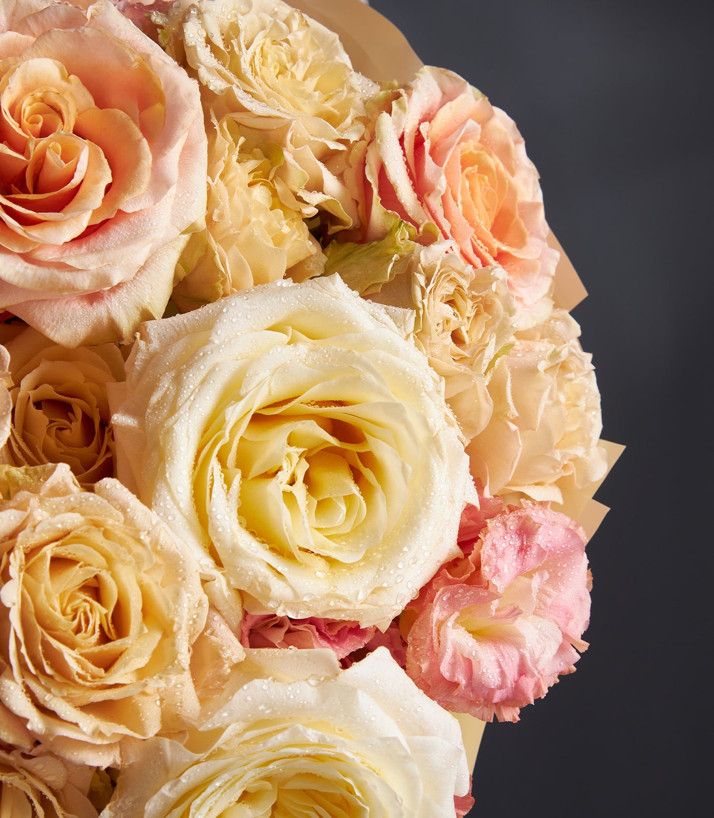 Warm cream and peach rose bouquet with water-kissed petals, artfully wrapped for anniversaries