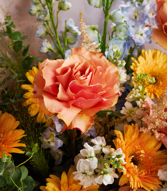 Vibrant fresh flower bouquet with coral-pink rose, orange gerberas, delphiniums and mixed blooms