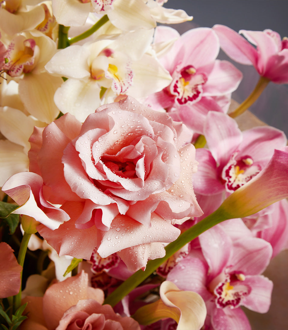Pink rose and white orchid harmony bouquet with calla lily and fresh blooms, luxury flower gift