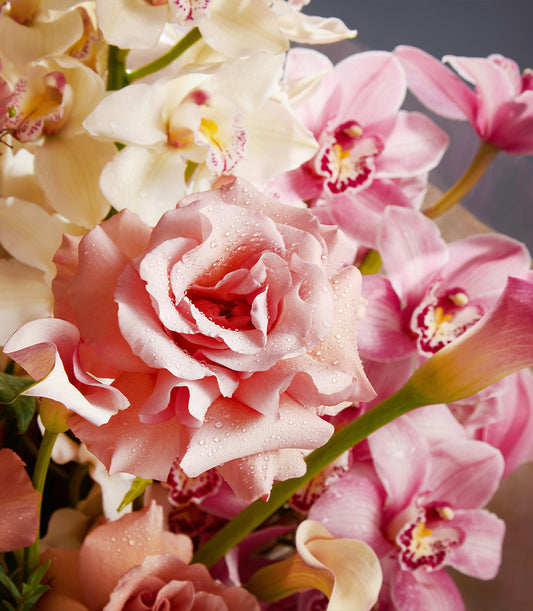 Pink rose and white orchid harmony bouquet with calla lily and fresh blooms, luxury flower gift