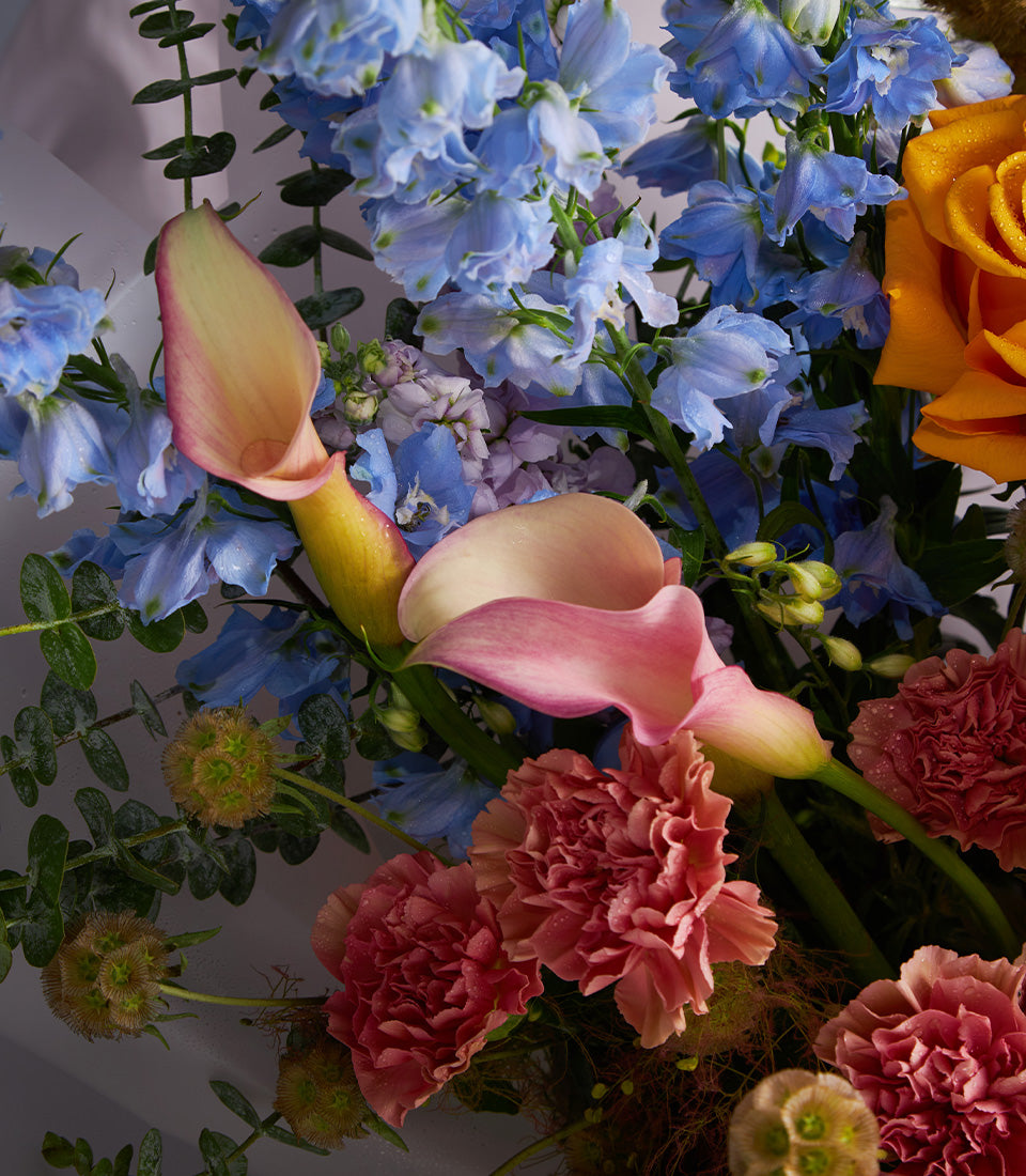 Premium mixed bouquet with pink calla lilies, blue delphiniums, coral carnations and orange rose