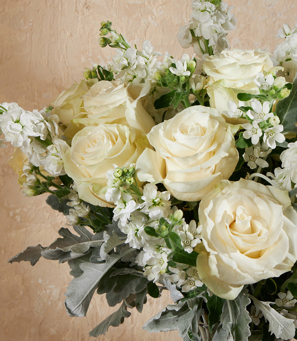 Ivory Elegance white and cream roses with dusty miller in a luxury gift arrangement