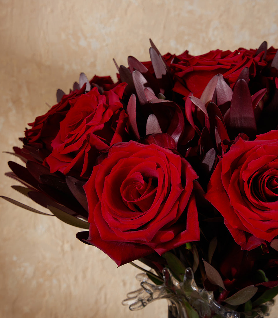 Deep red roses in sculptural glass vase with burgundy foliage, premium fresh flower arrangement